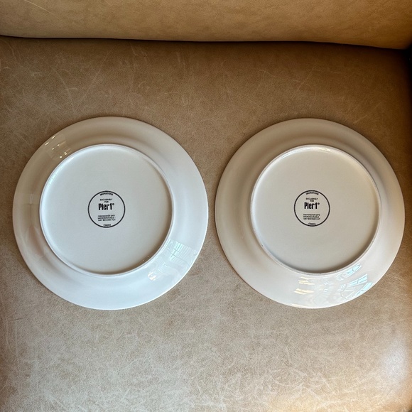 Set of 2 Pier 1 Hummingbirds and Roses 8.75" Ironstone Salad/Lunch Plates - Picture 8 of 10